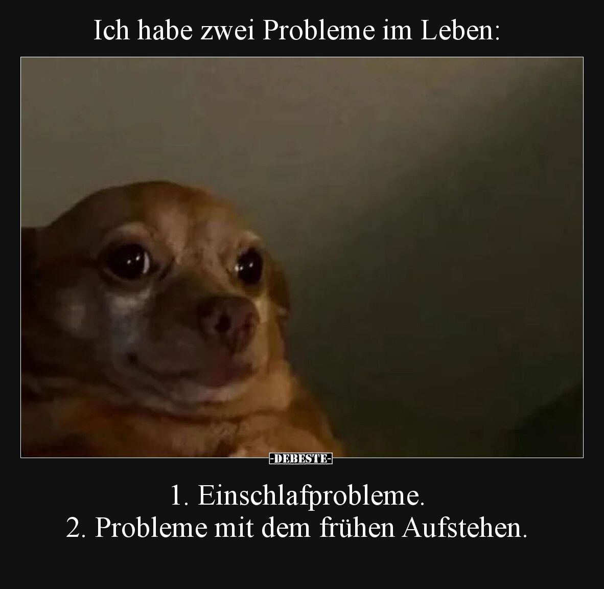 Ich habe zwei Probleme im Leben.. - Lustige Bilder | DEBESTE.de