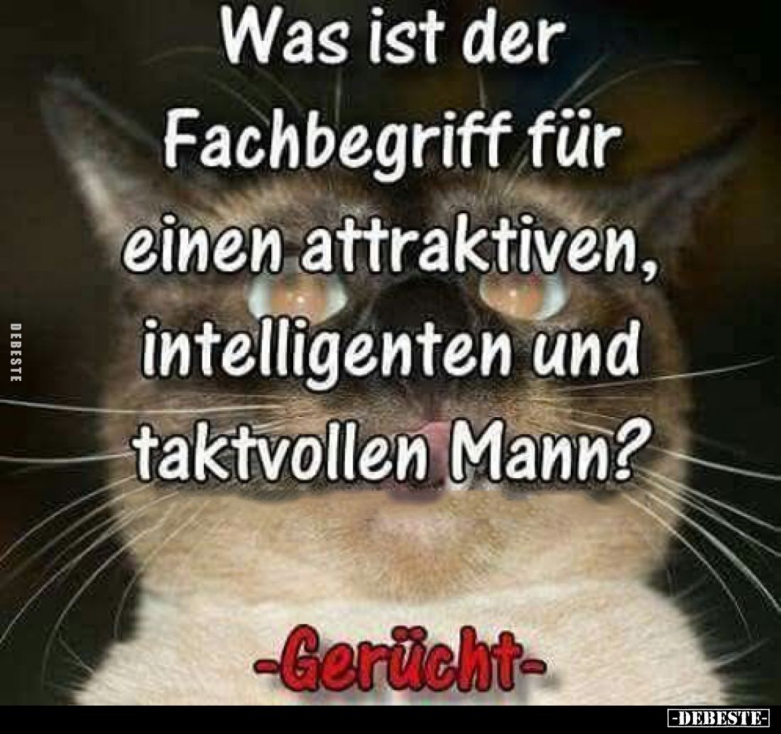 Was ist der Fachbegriff für einen attraktiven, intelligenten und taktvollen Mann?
Gerücht