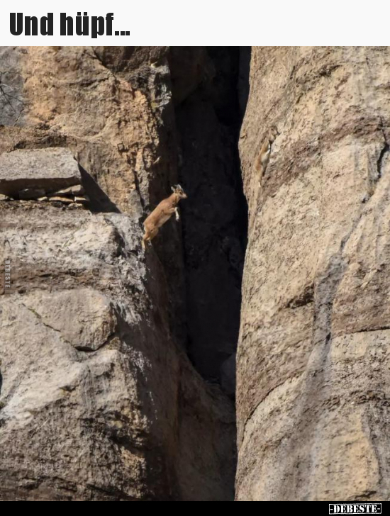 Und hüpf...