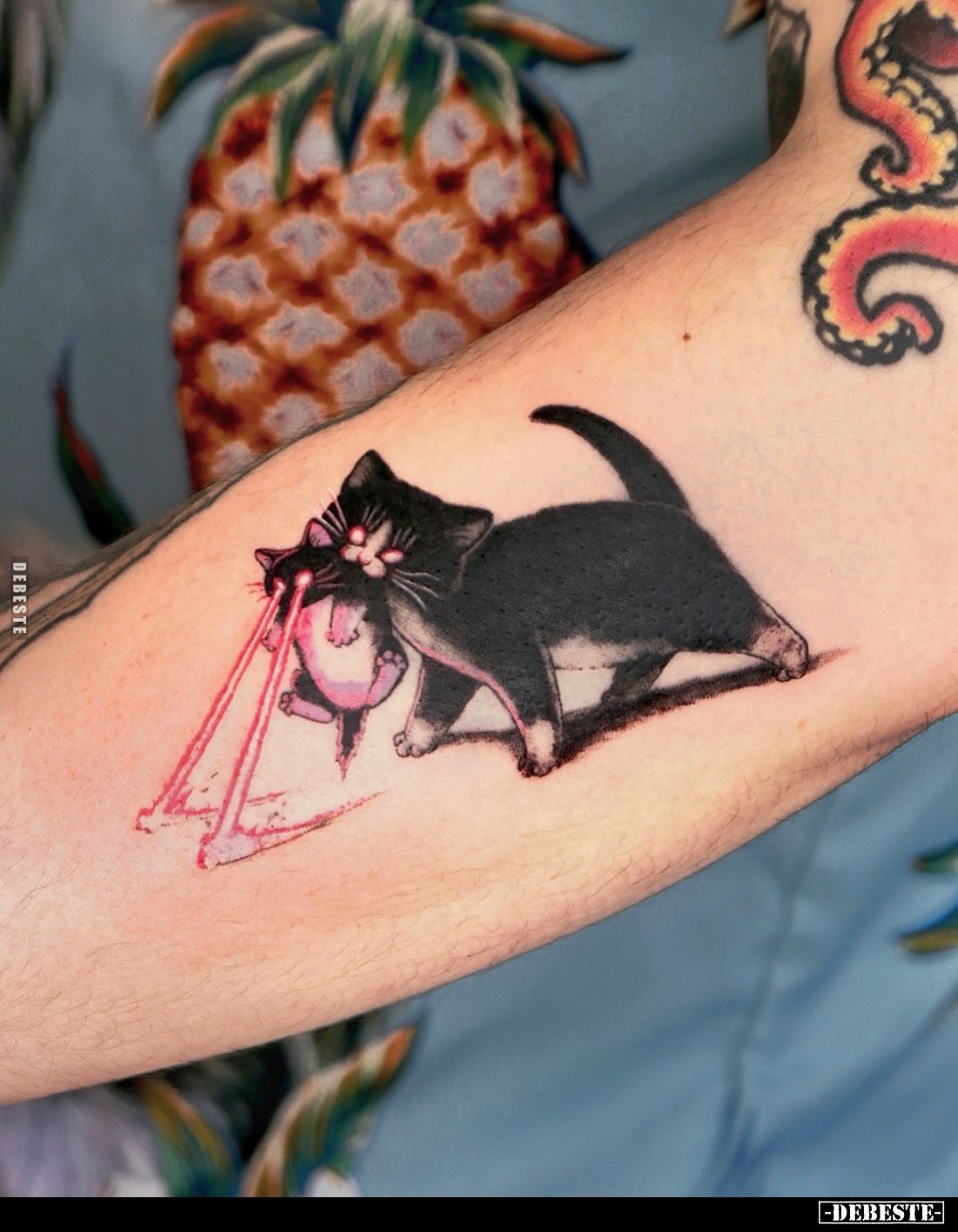  - Lustige Bilder | DEBESTE.de