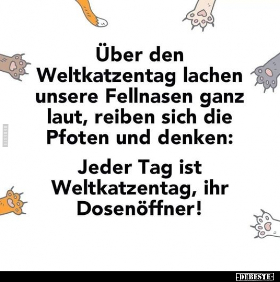 Über den Weltkatzentag lachen unsere Fellnasen ganz laut.. - Lustige Bilder | DEBESTE.de