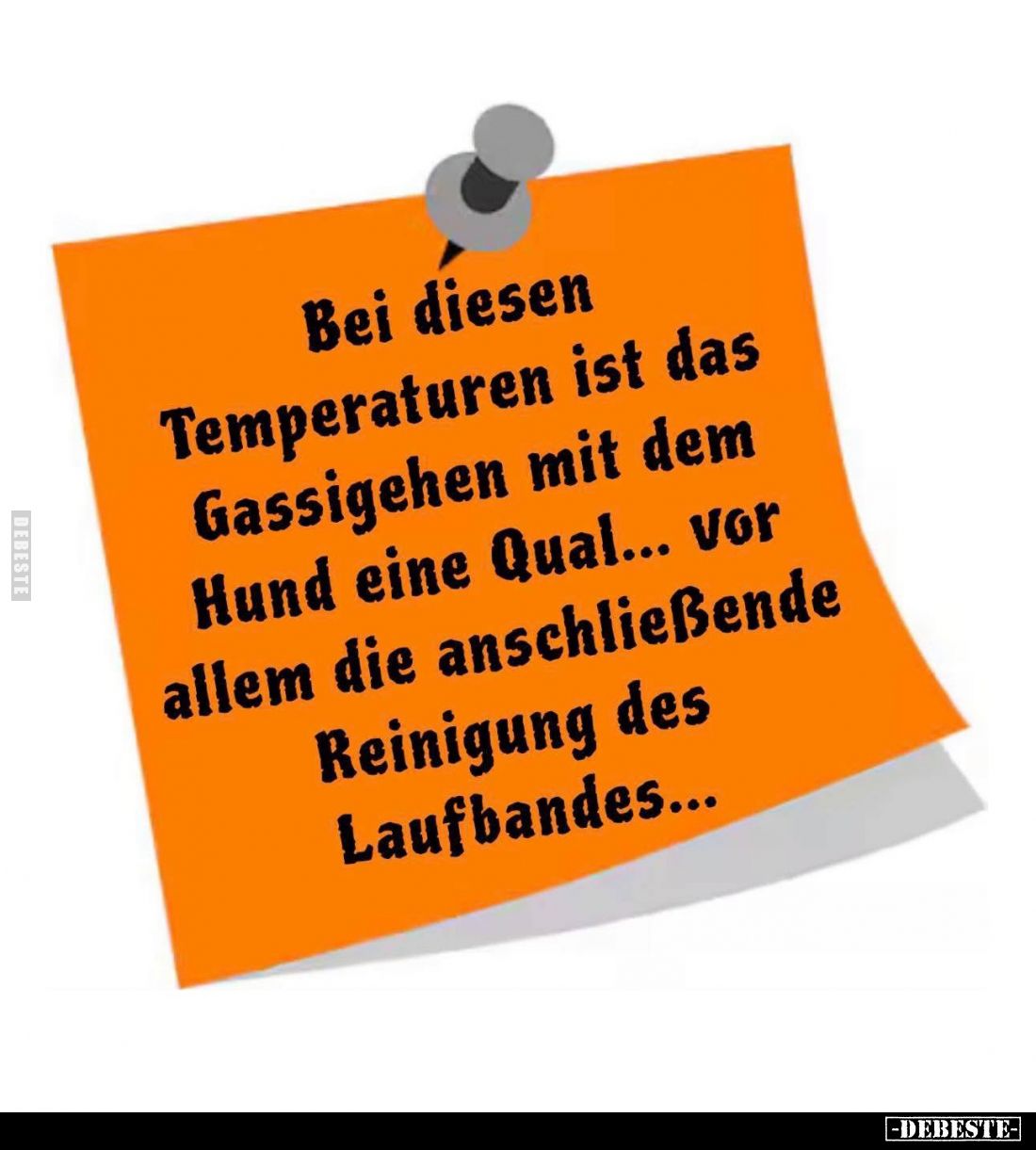 Bei diesen
Temperaturen ist das
Gassigehen mit dem
Hund eine Qual... vor
allem die anschließende
Reinigung des
Laufband...