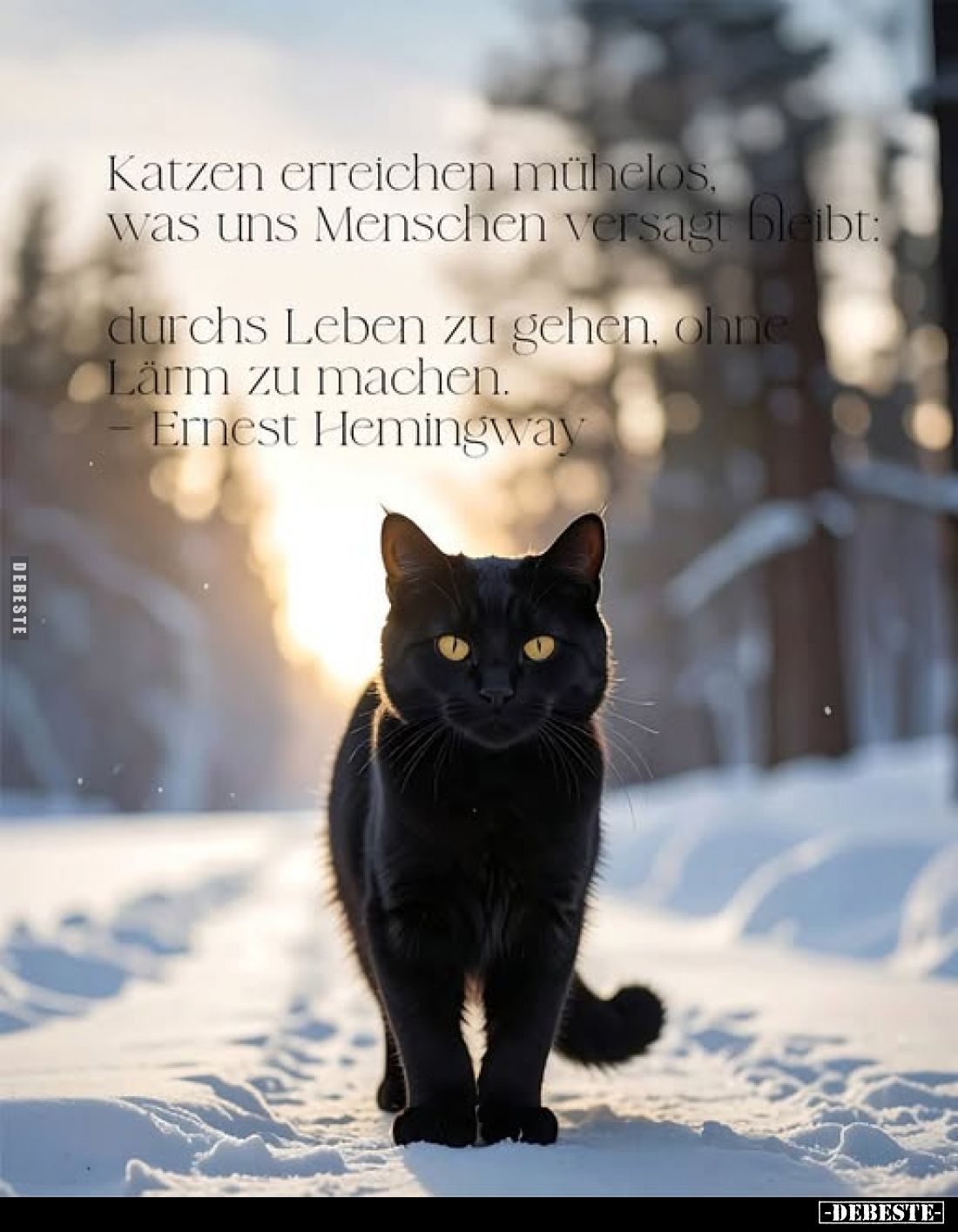Katzen erreichen mühelos, was uns Menschen versagt bleibt:
durchs Leben zu gehen, ohne Lärm zu machen.
Ernest Hemingway
