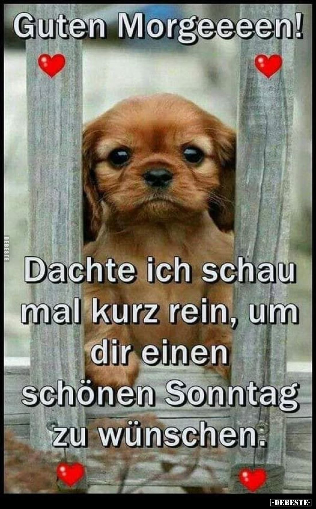 Guten Morgeeeen!
Dachte ich schau mal kurz rein, um dir einen schönen Sonntag zu wünschen: