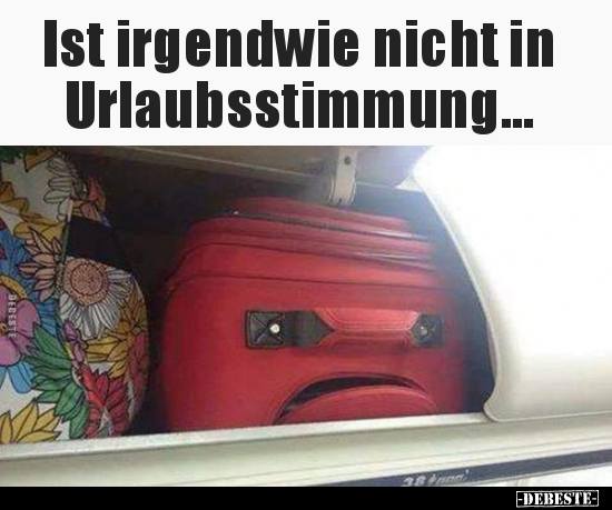 Ist irgendwie nicht in Urlaubsstimmung... - Lustige Bilder | DEBESTE.de