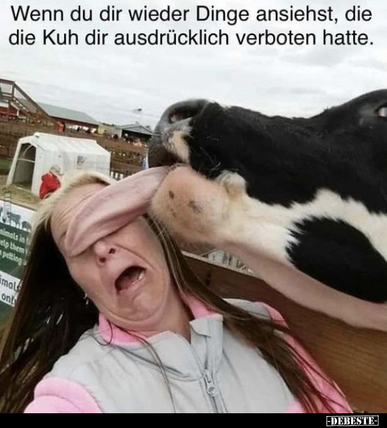 Wenn du dir wieder Dinge ansiehst, die die Kuh dir.. - Lustige Bilder | DEBESTE.de