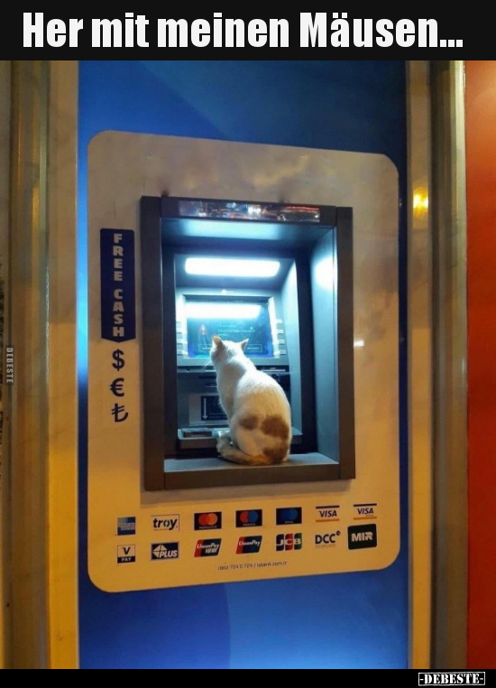 Her mit meinen Mäusen...