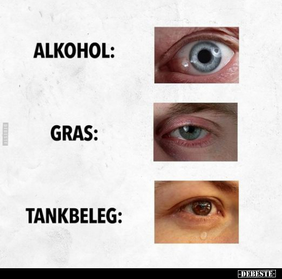 Alkphol: Gras: Tankbeleg.. - Lustige Bilder | DEBESTE.de