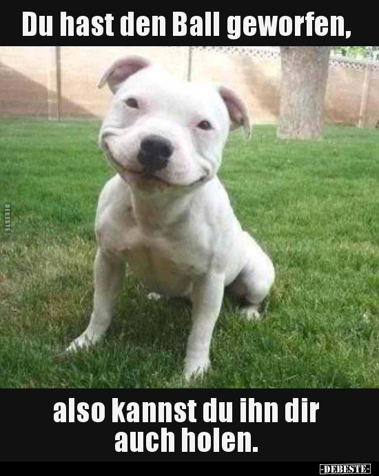 Du hast den Ball geworfen, also kannst du ihn dir auch..