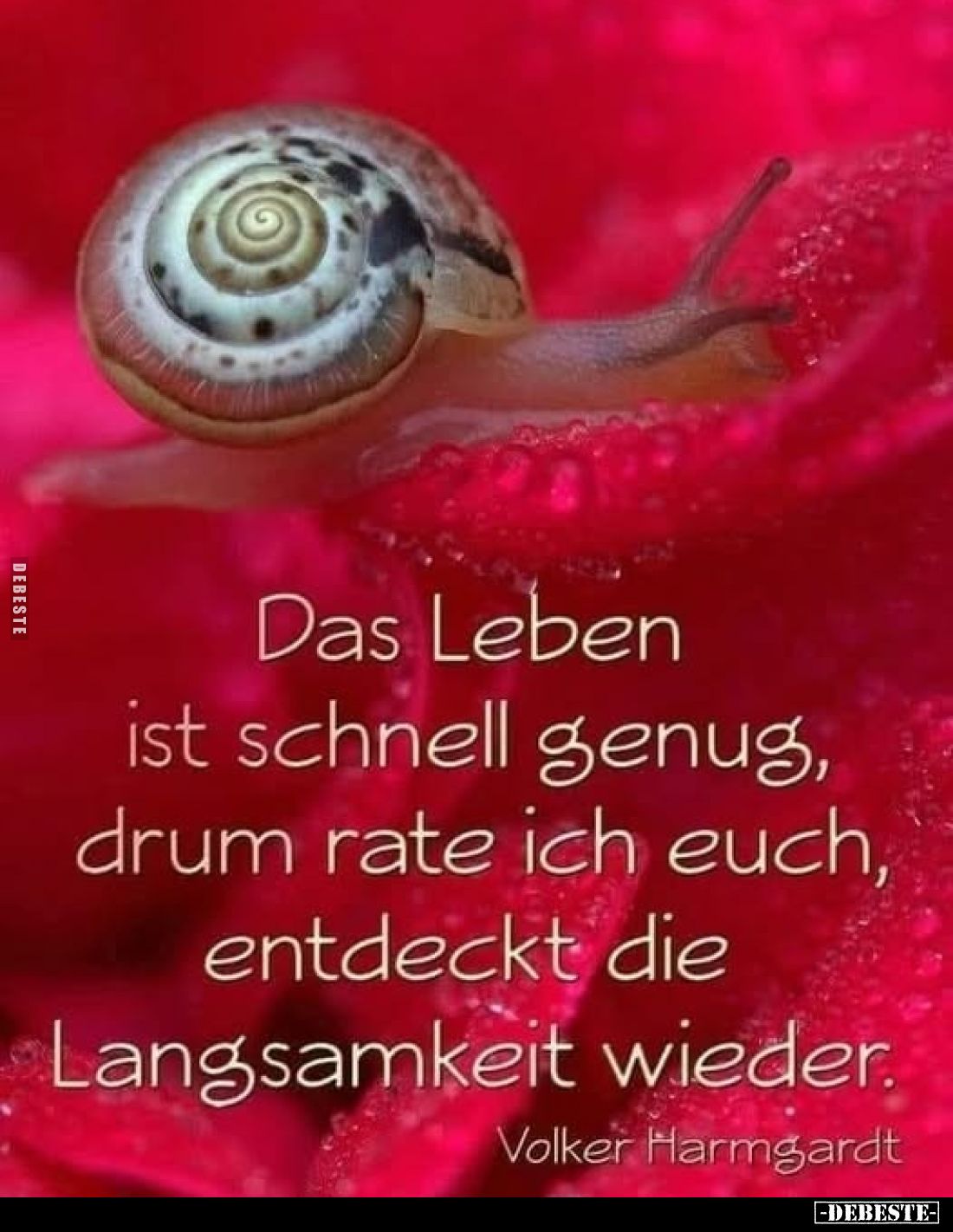 Das Leben ist schnell genug, drum rate ich euch, entdeckt die Langsamkeit wieder