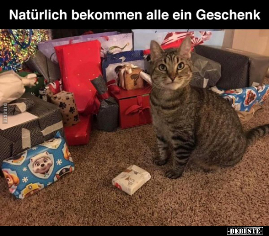 Natürlich bekommen alle ein Geschenk.. - Lustige Bilder | DEBESTE.de