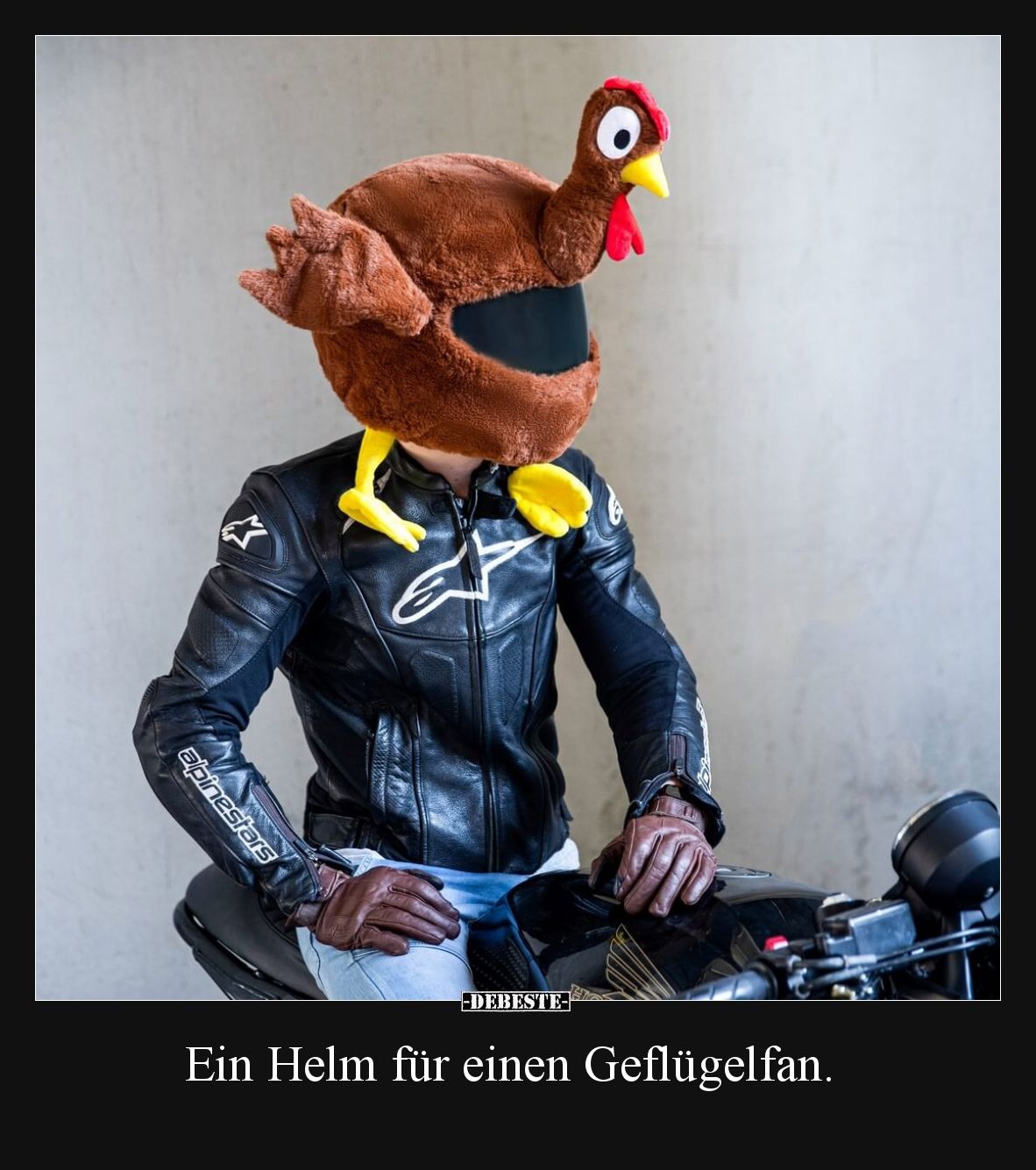 Ein Helm für einen Geflügelfan... - Lustige Bilder | DEBESTE.de