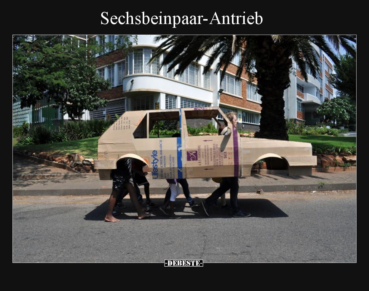 Sechsbeinpaar-Antrieb