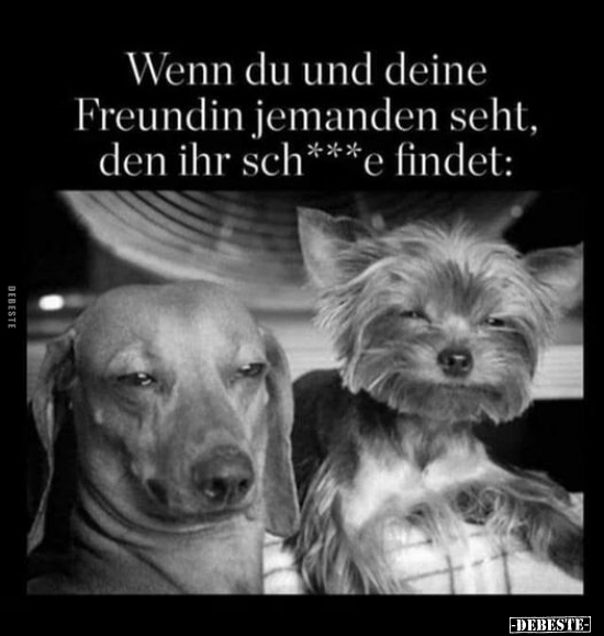 Wenn du und deine Freundin jemanden seht, den ihr sch***e..