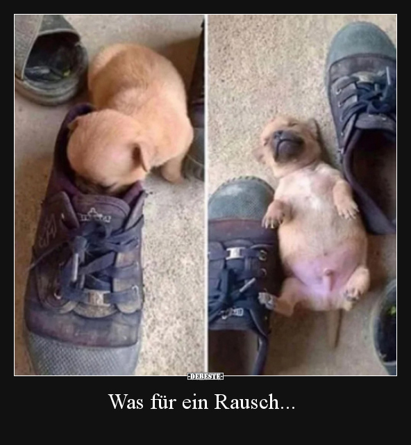 Was für ein Rausch... - Lustige Bilder | DEBESTE.de