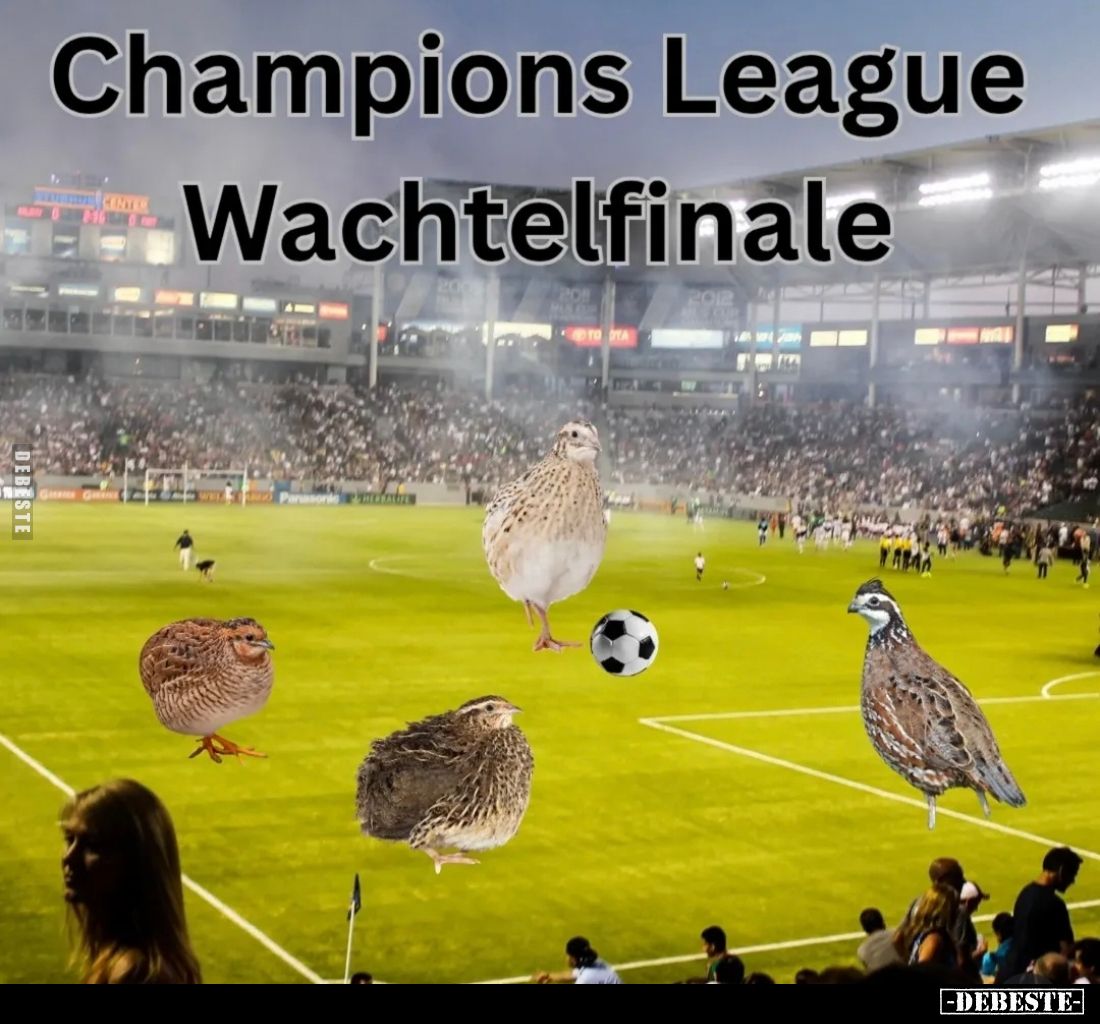 Champions League Wachtelfinale
