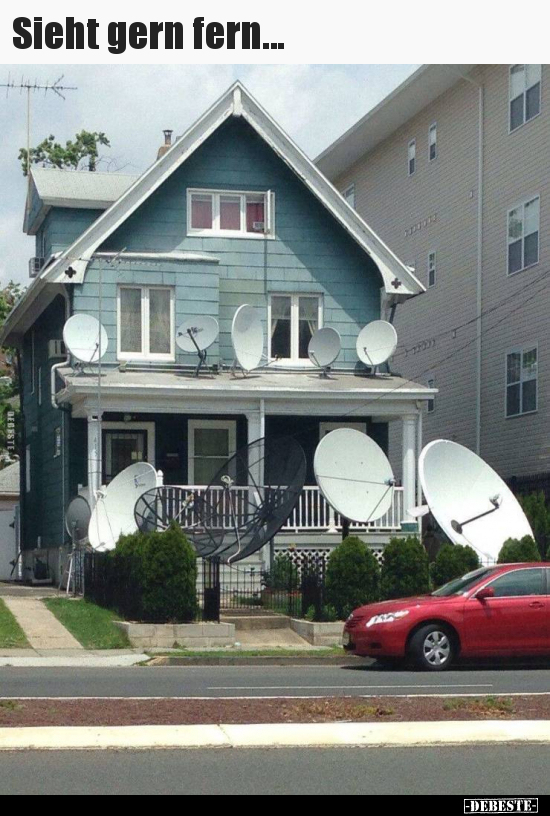 Sieht gern fern...