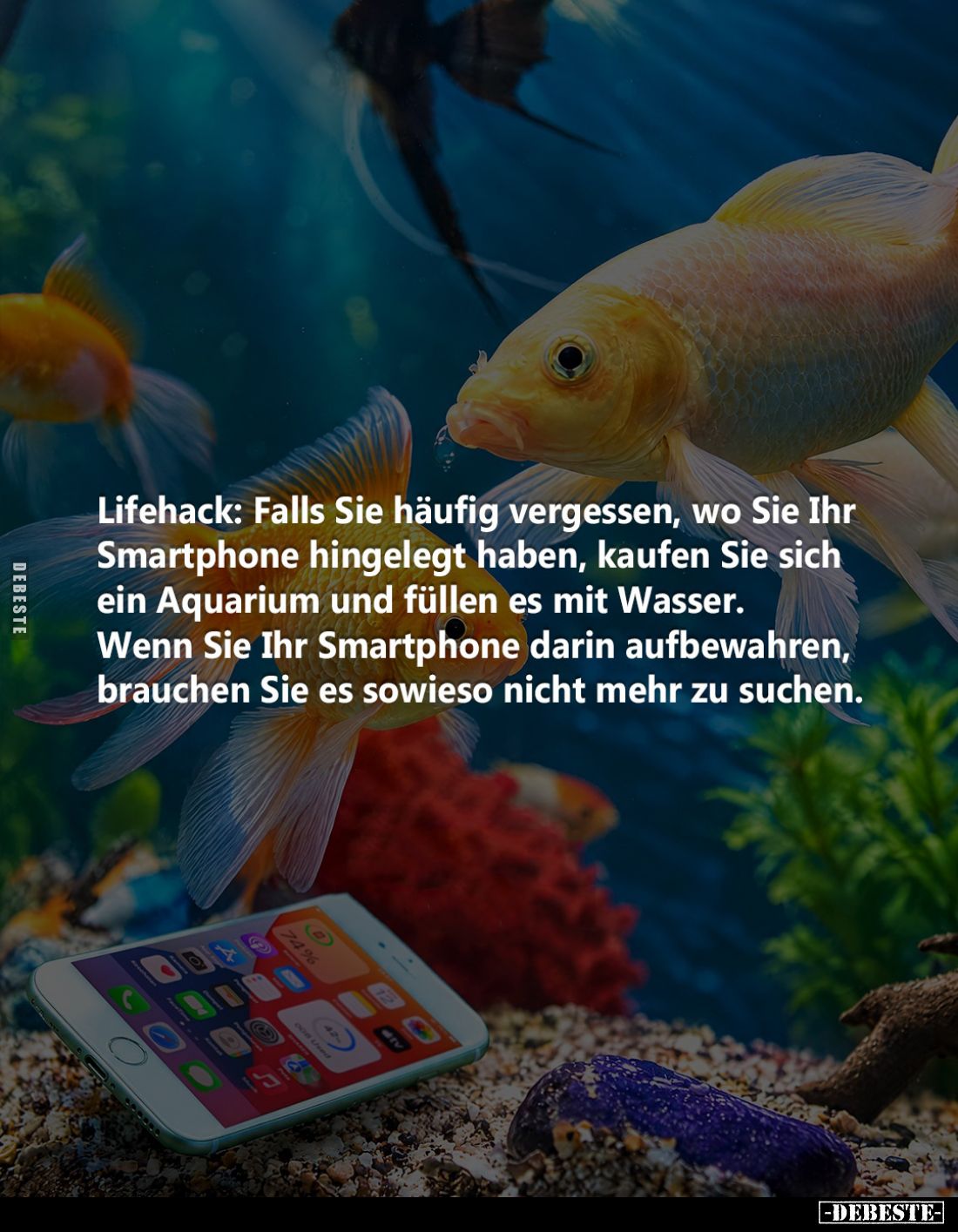 Lifehack: Falls Sie häufig vergessen, wo Sie Ihr Smartphone hingelegt haben, kaufen Sie sich ein Aquarium und füllen es mit W...
