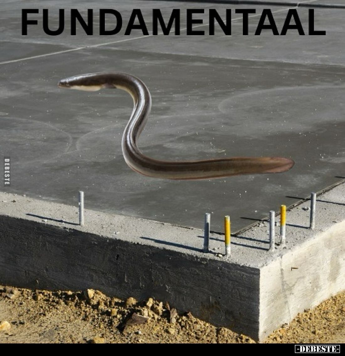 Fundamentaal