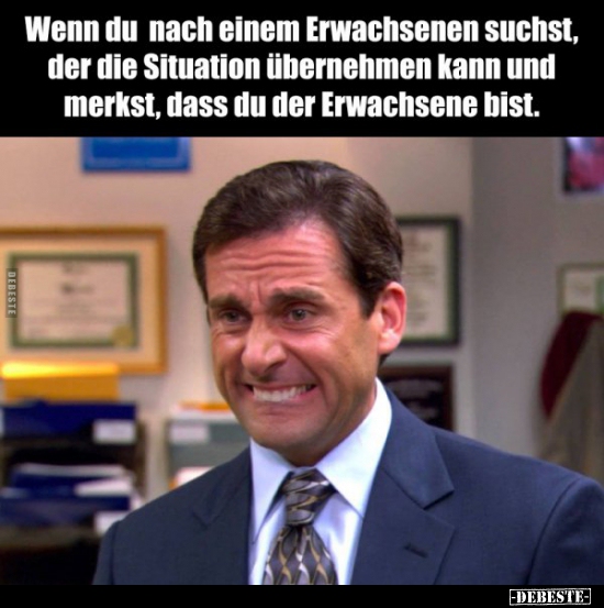 Wenn du nach einem Erwachsenen suchst, der die Situation.. - Lustige Bilder | DEBESTE.de