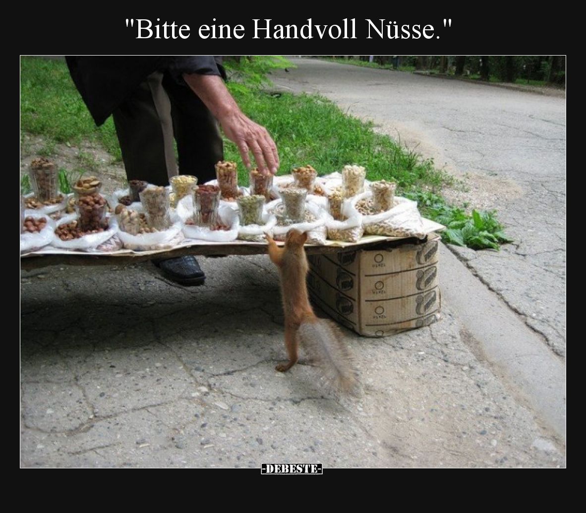 "Bitte eine Handvoll Nüsse.".. - Lustige Bilder | DEBESTE.de
