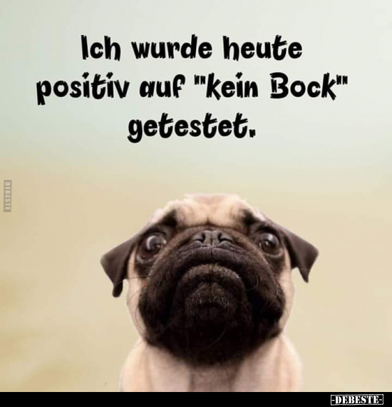 Ich wurde heute positiv auf "kein Bock" getestet.. - Lustige Bilder | DEBESTE.de