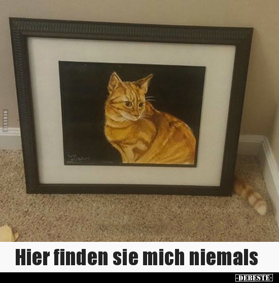 Hier finden sie mich niemals.. - Lustige Bilder | DEBESTE.de