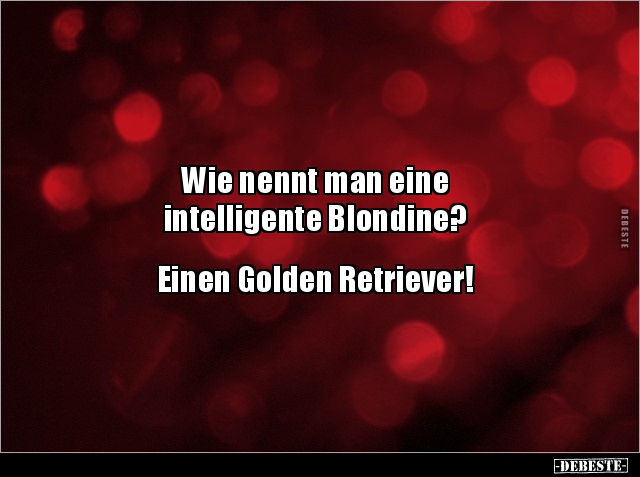 Wie nennt man eine intelligente Blondine?... - Lustige Bilder | DEBESTE.de
