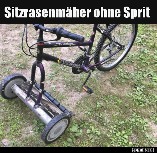 Sitzrasenmäher ohne Sprit..
