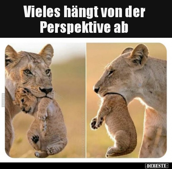 Vieles hängt von der Perspektive ab.. - Lustige Bilder | DEBESTE.de