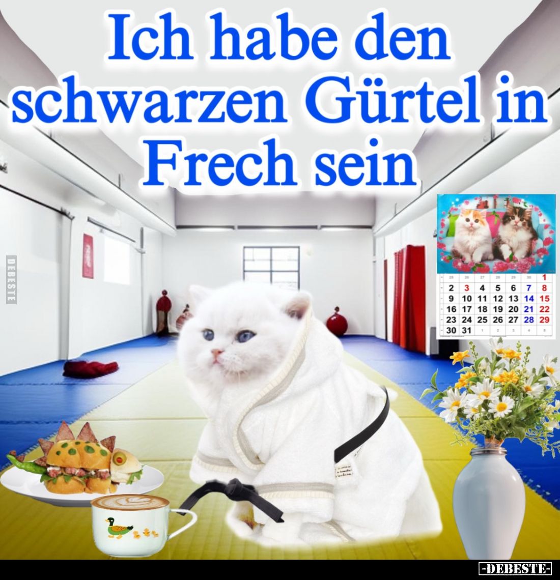 Ich habe den schwarzen Gürtel in Frech sein