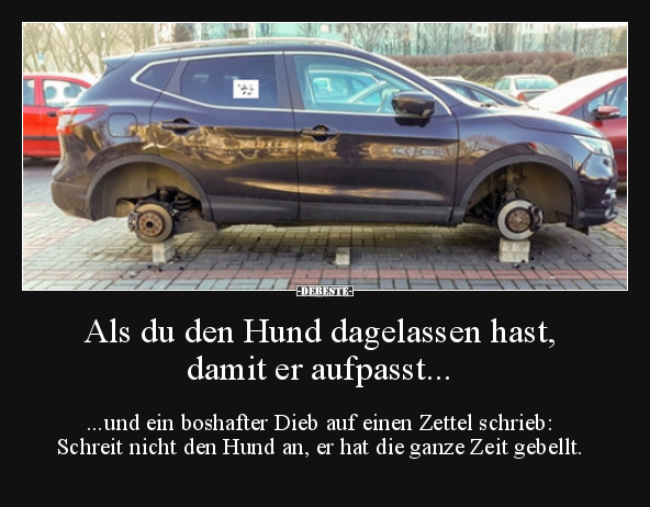 Als du den Hund dagelassen hast, damit er aufpasst...
