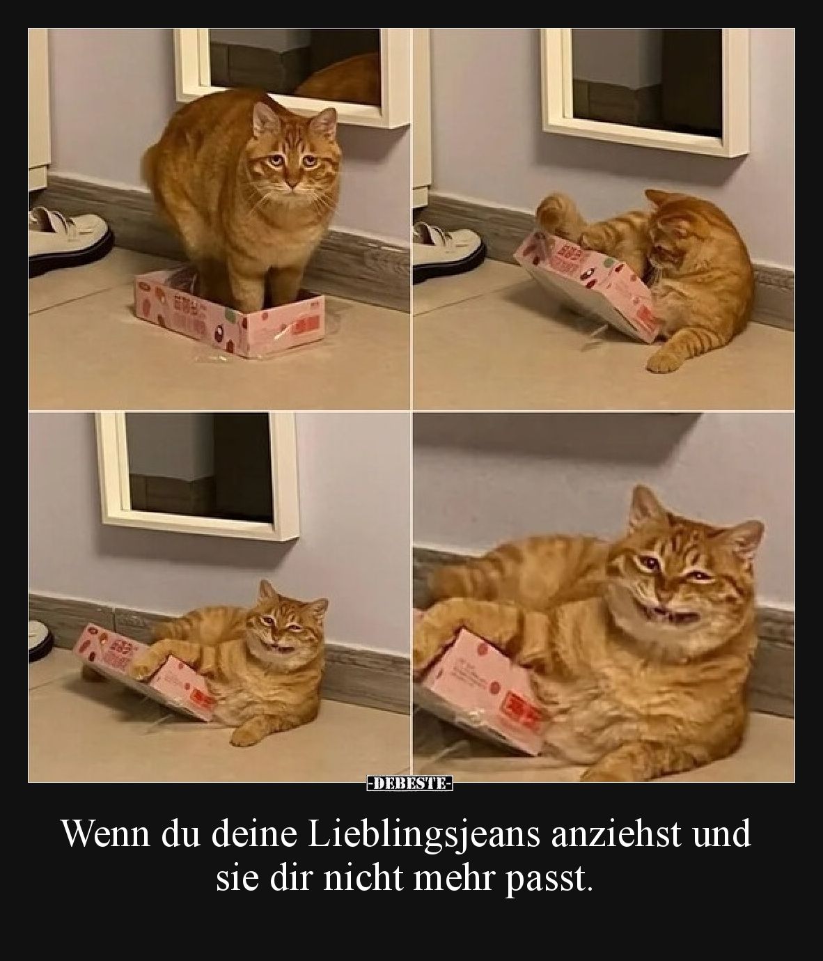 Wenn du deine Lieblingsjeans anziehst und sie dir nicht mehr passt.