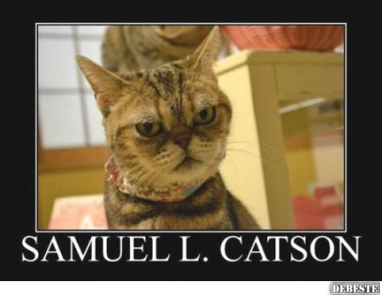 Samuel L Catson