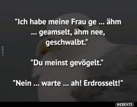 "Ich habe meine Frau ge... ähm... geamselt, ähm nee.."