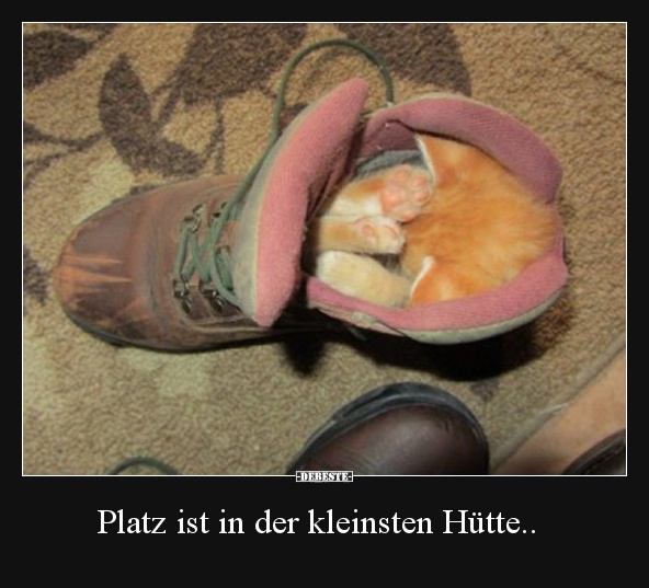 Platz ist in der kleinsten Hütte.. - Lustige Bilder | DEBESTE.de