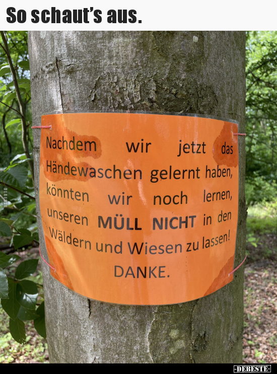 So schaut’s aus...