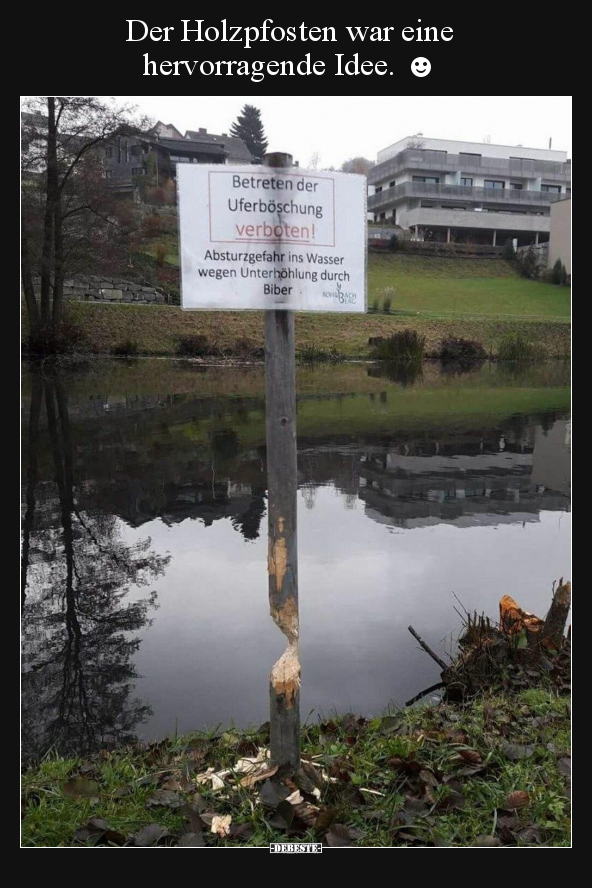 Der Holzpfosten war eine hervorragende Idee. ☻..