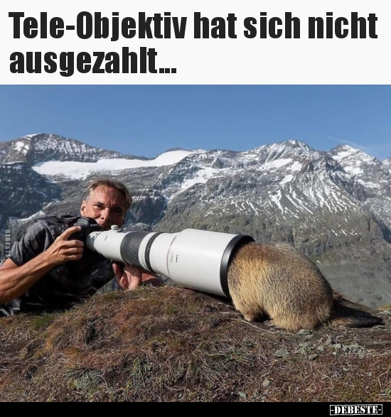 Tele-Objektiv hat sich nicht ausgezahlt... - Lustige Bilder | DEBESTE.de