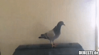 Ich sitze jetzt hier..