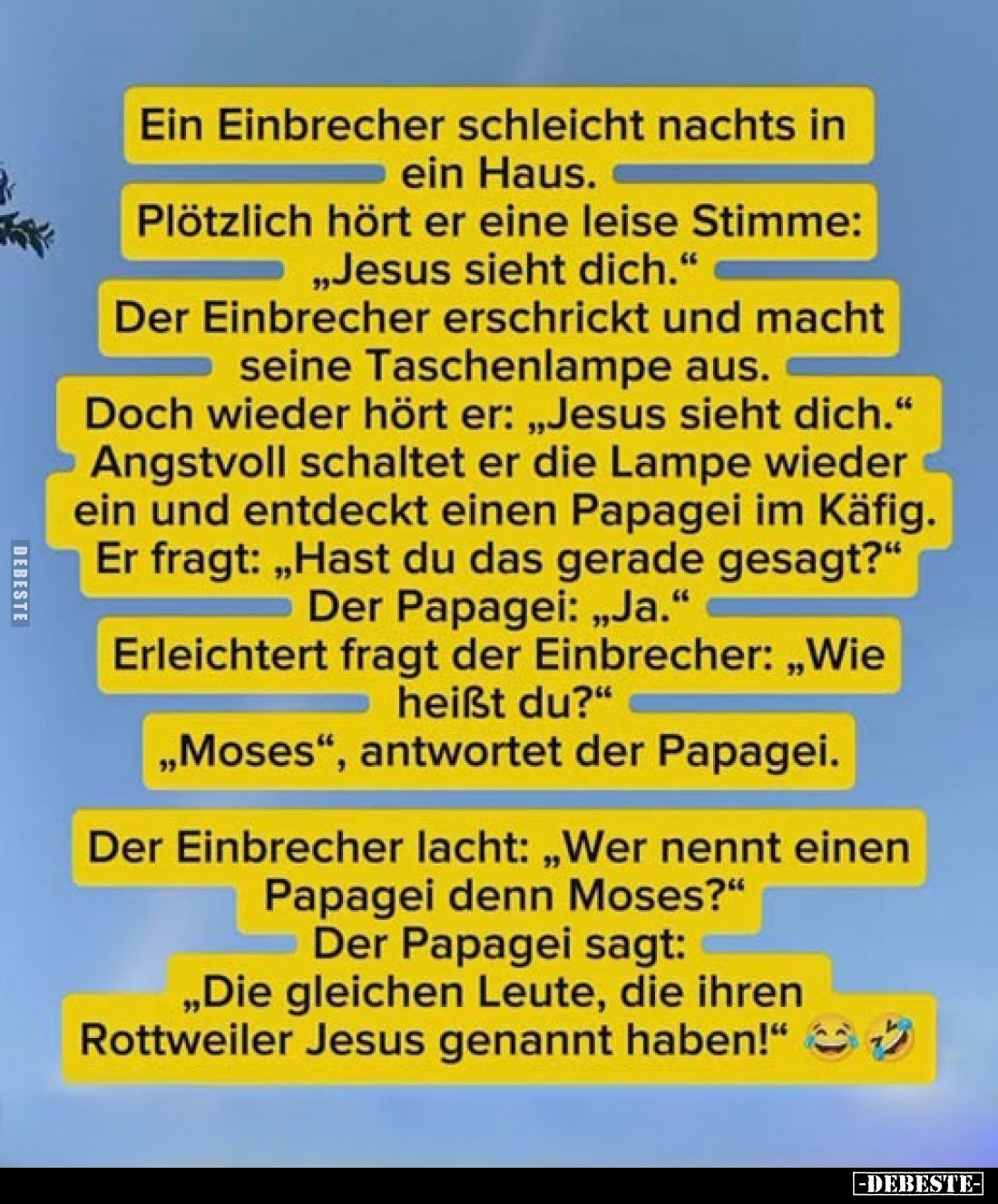 Ein Einbrecher schleicht nachts in ein Haus.
Plötzlich hört er eine leise Stimme: „Jesus sieht dich."
Der Einbrecher e...