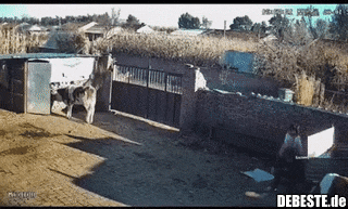  - Lustige Bilder | DEBESTE.de