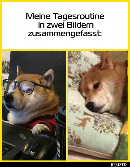 Meine Tagesroutine in zwei Bildern zusammengefasst.. - Lustige Bilder | DEBESTE.de