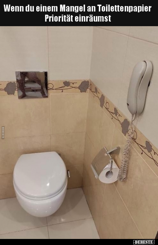 Wenn du einem Mangel an Toilettenpapier Priorität.. - Lustige Bilder | DEBESTE.de
