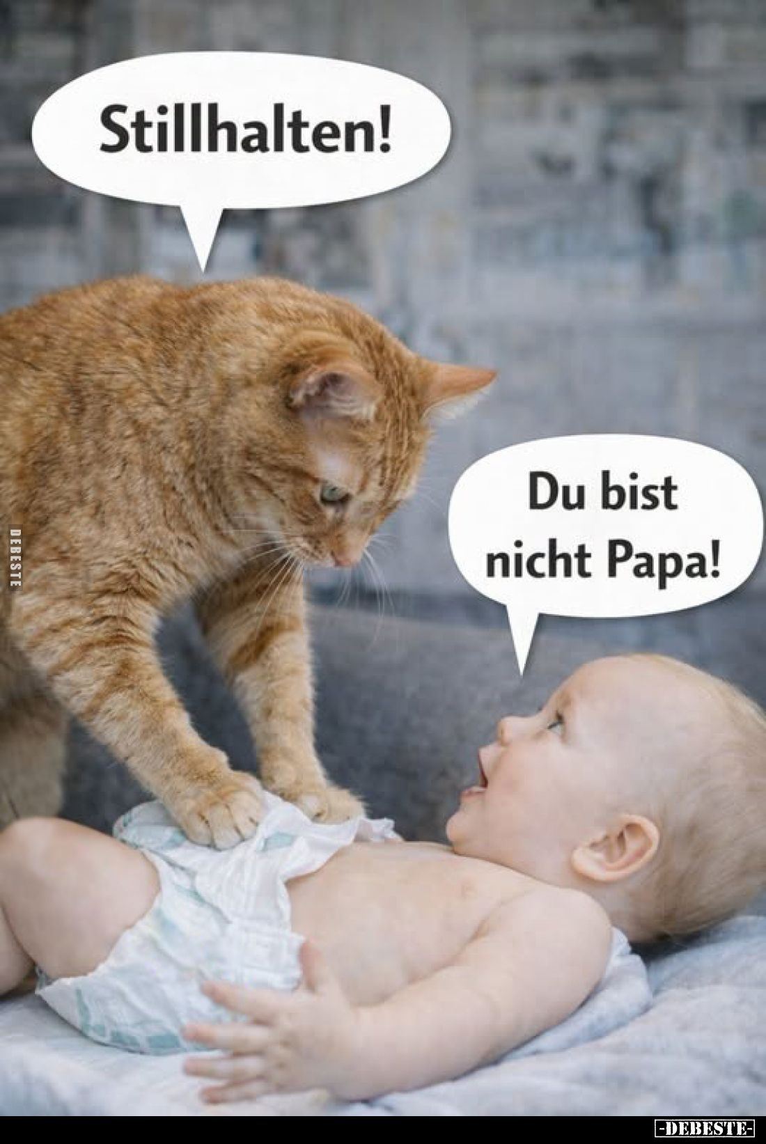 Stillhalten! Du bist nicht Papa!.. - Lustige Bilder | DEBESTE.de