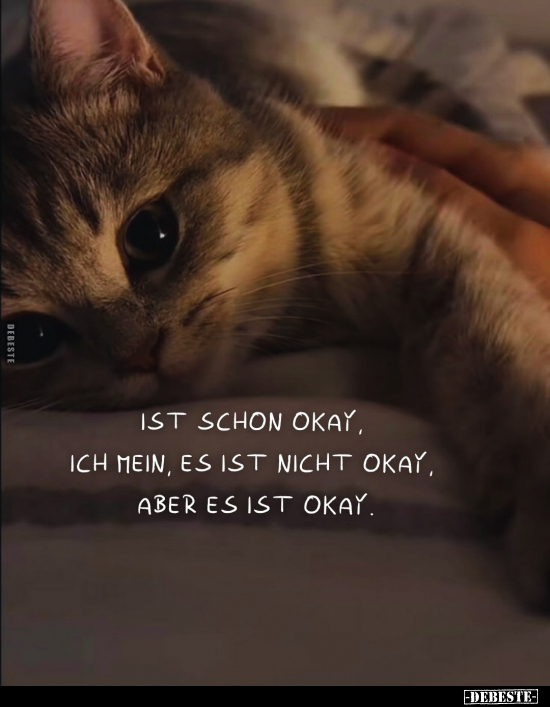 Ist schon okay, ich mein, es ist nicht okay, aber es ist okay.