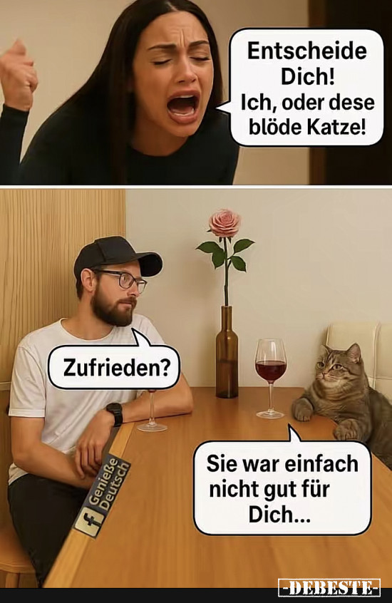 Katze - Lustige Bilder | DEBESTE.de
