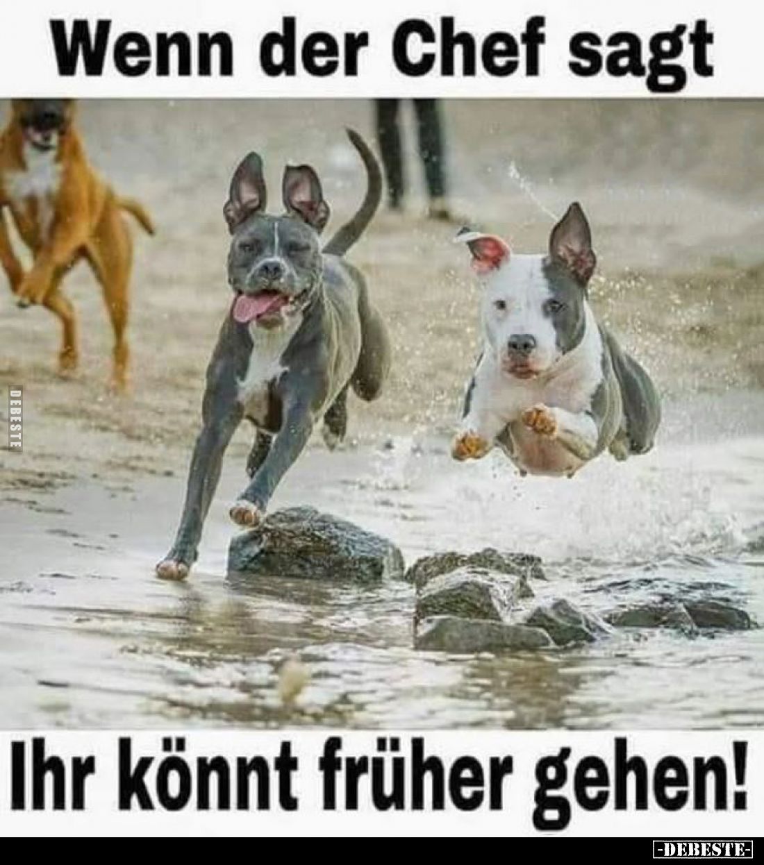 Wenn der Chef sagt
Ihr könnt früher gehen!