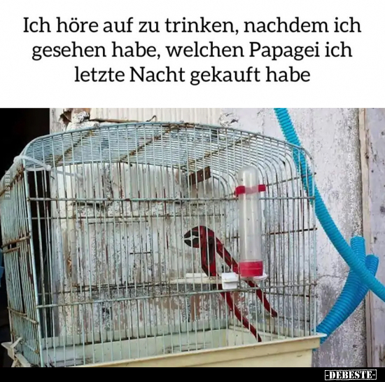 Ich höre auf zu trinken.. - Lustige Bilder | DEBESTE.de