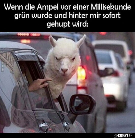 Wenn die Ampel vor einer Millisekunde grün.. - Lustige Bilder | DEBESTE.de